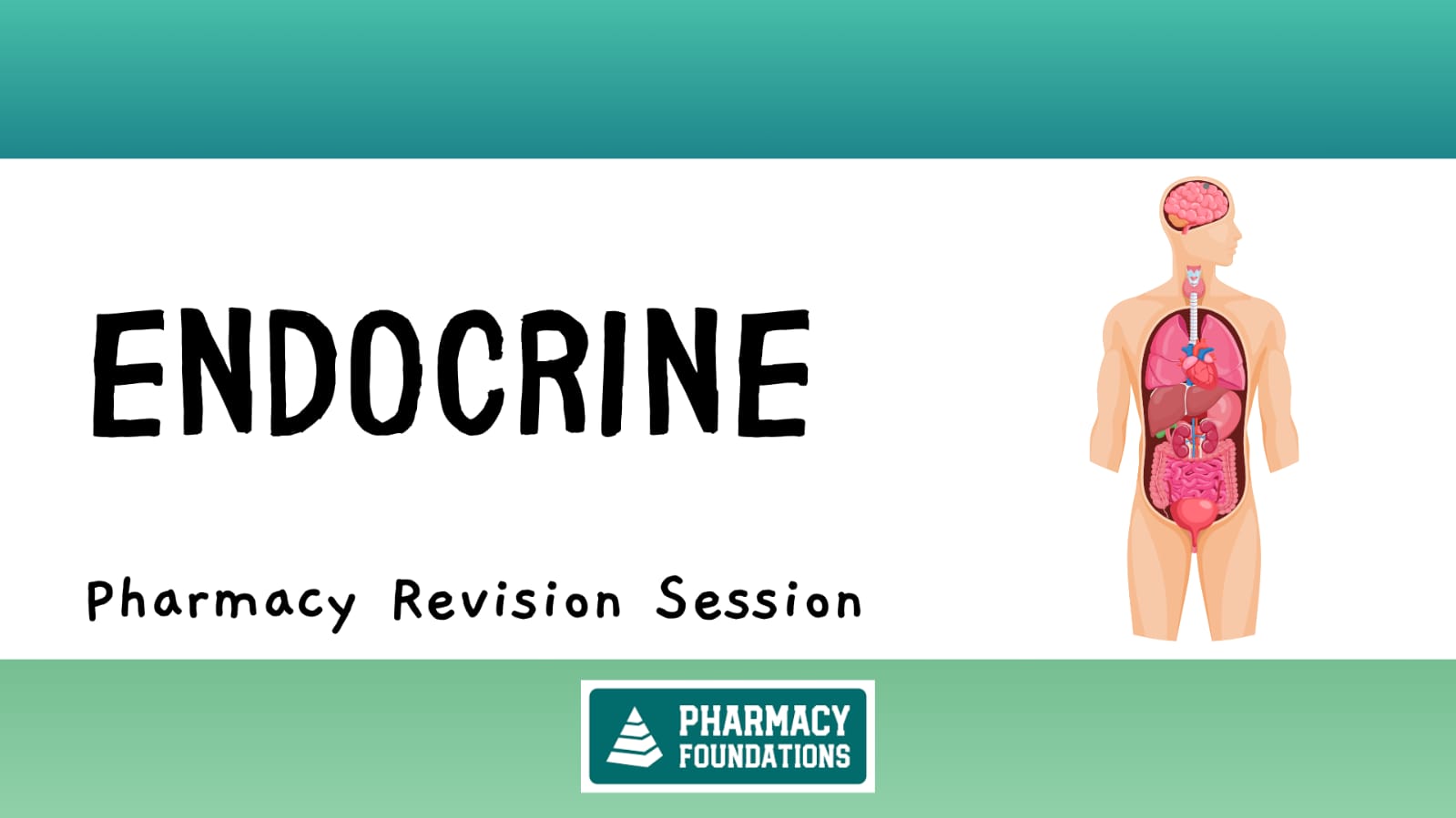 Endocrine Essentials